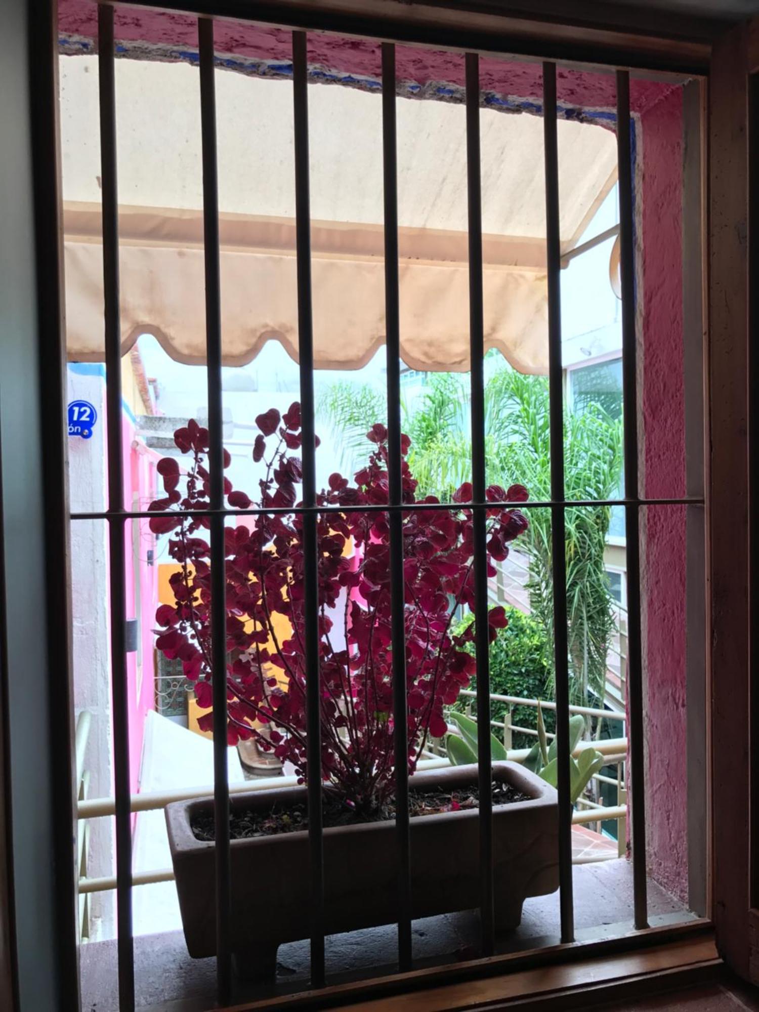 Hotel Malinalli Уамантла Екстер'єр фото