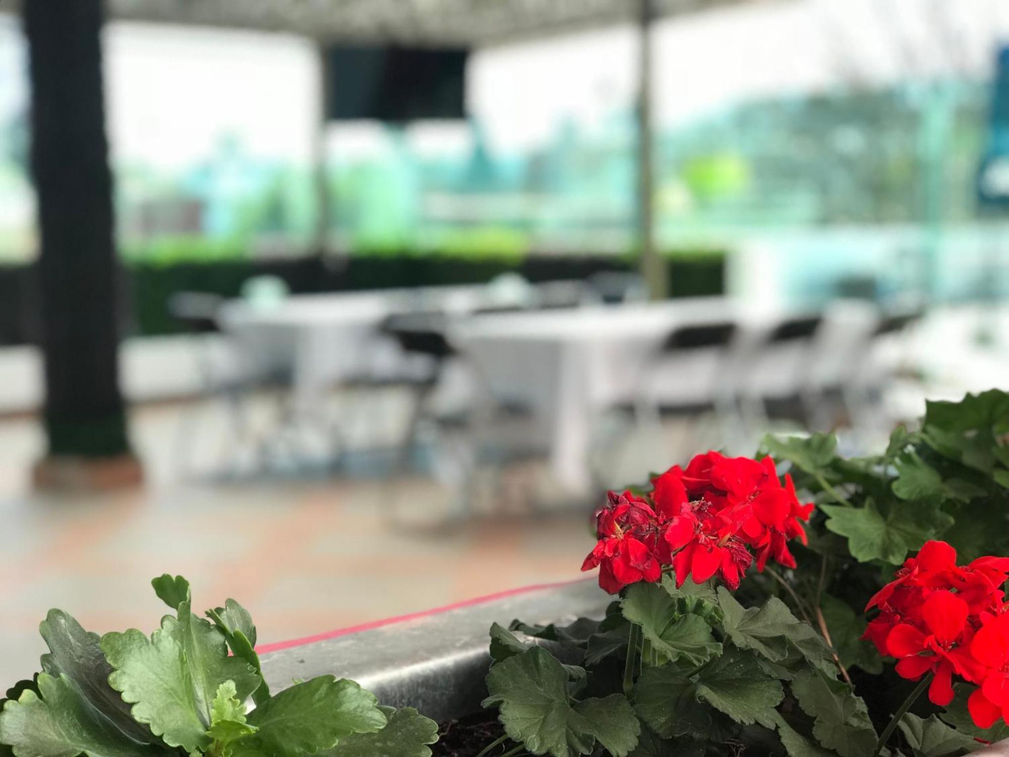 Hotel Malinalli Уамантла Екстер'єр фото